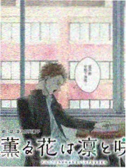 声音的褶皱 热播榜